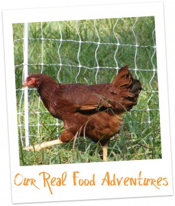 our real food adventures icon large