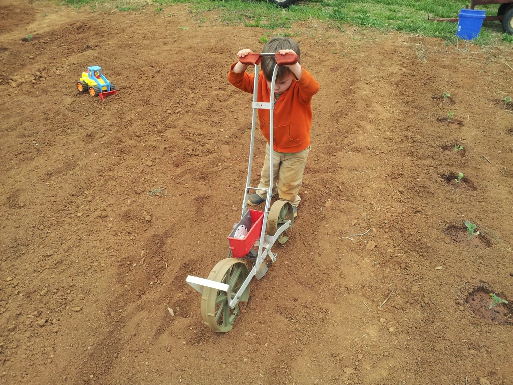 2014 levi in field