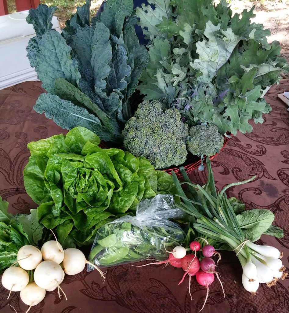 CSA share - 5-27-14