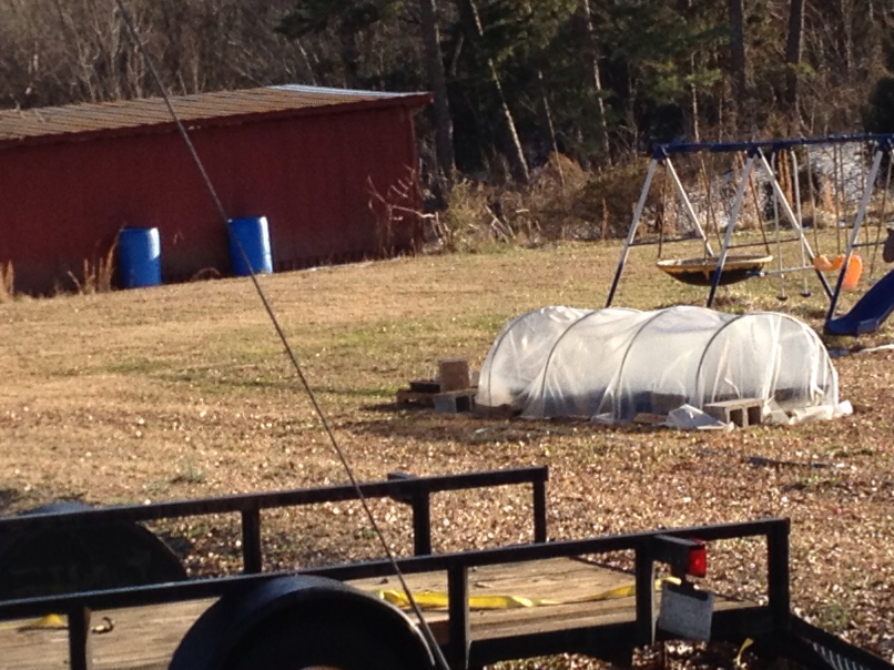 Makeshift Hoop House