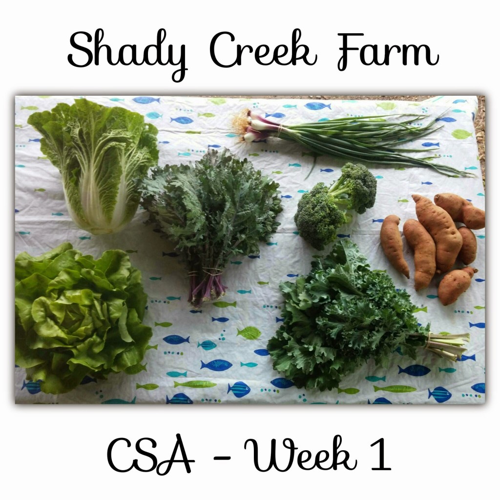 CSA week01