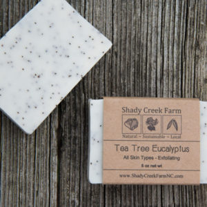 Tea Tree Eucalyptus soap