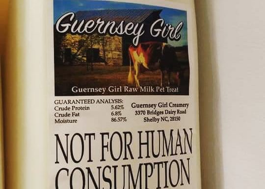 Guernsey Girl Creamery - Raw Milk Not For Human Consumption